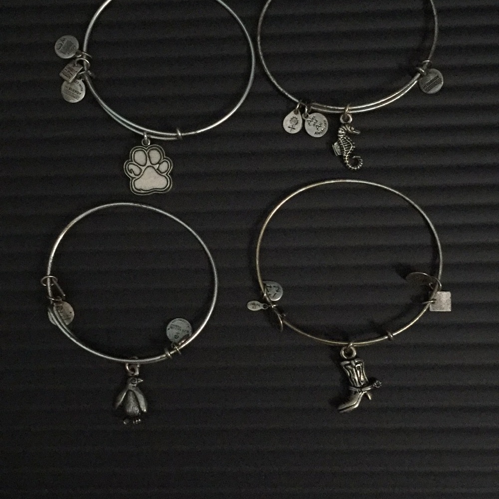 4 ALEX AND ANI'S